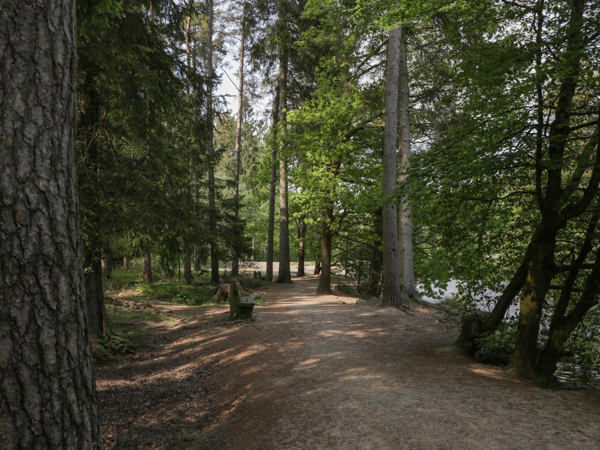 Rose Cottage Лидней Экстерьер фото